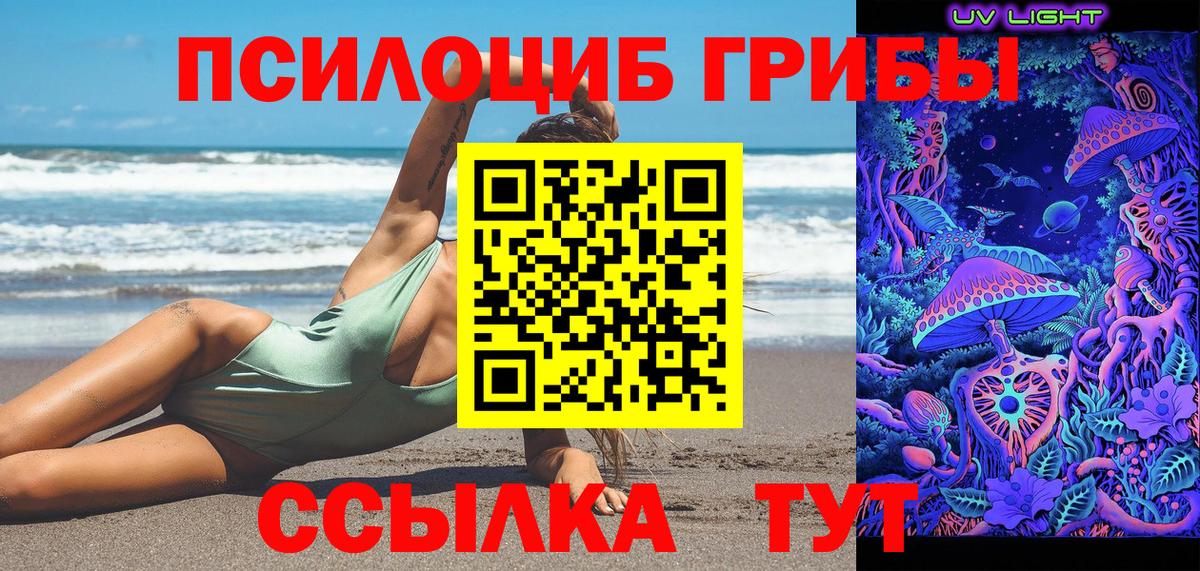 Псилоцибиновые грибы Psilocybe Краснодар