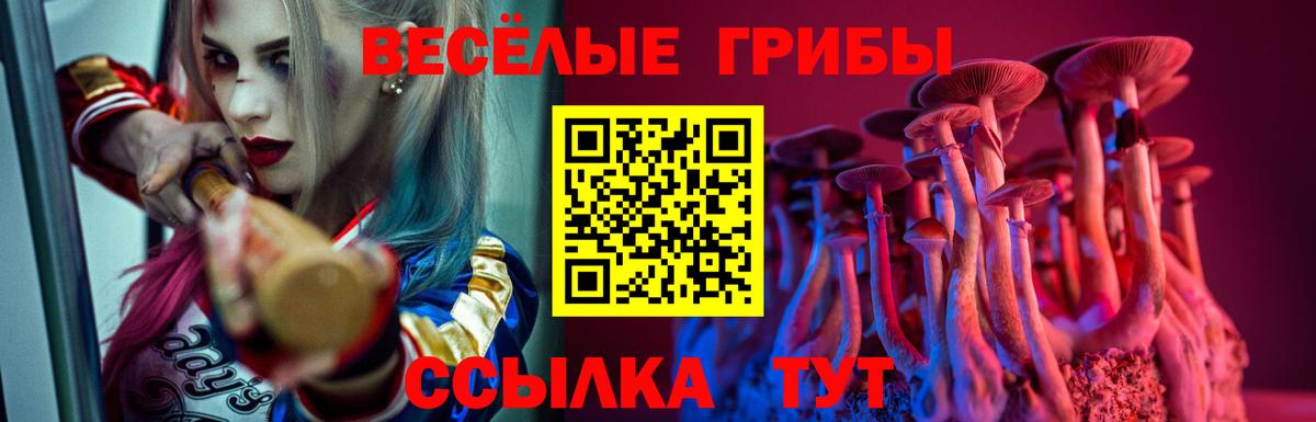 Краснодар  Галлюциногенные грибы Magic Shrooms  где найти   Вход с VPN 